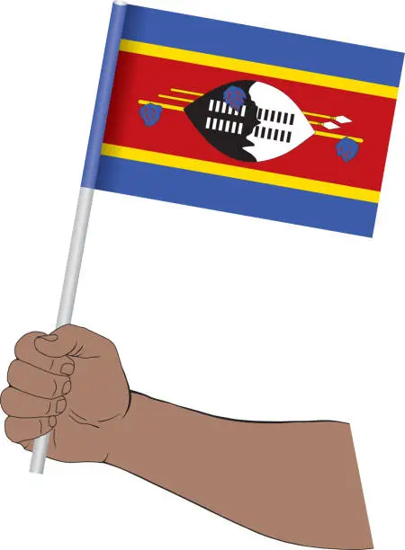 Vector illustration of Hand holding national flag of Eswatini