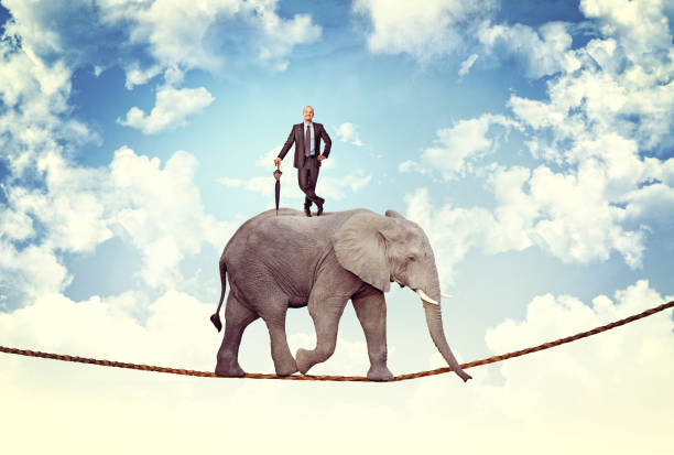 istock Digital Composite Image Of Businessman Standing On Elephant Against Sky 1167569769