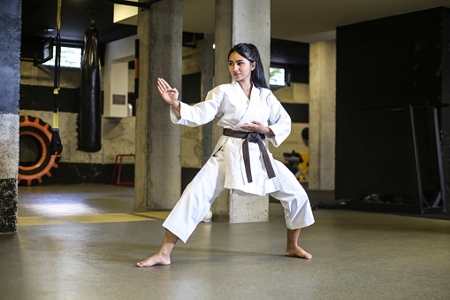 Teenage girl exercising karate. About 18 years old, mixed race female.