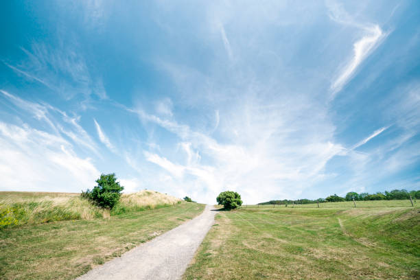 istock Trail in a beautiful landscape 1167574769