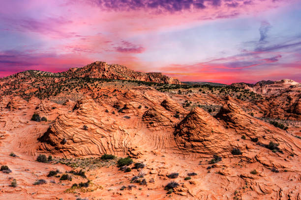 istock Sunset over Coyote Buttes in Utah 1167574866