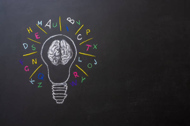 istock bulb with human brain and letters chalkboard 1167575198