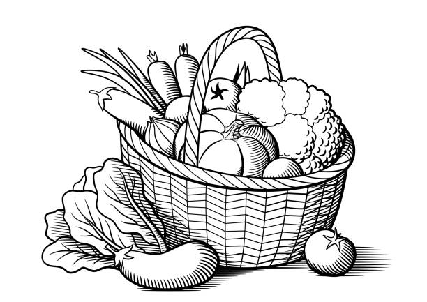 바구니에 든 채소 - eggplant vegetable vegetable garden plant stock illustrations