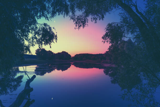 Sunset over the lake. Frame from trees at sunset. Beautiful evening nature landscape