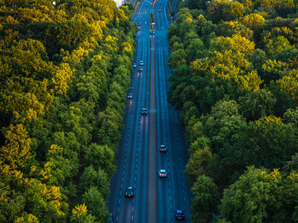 High angle view of a broad street and a forest