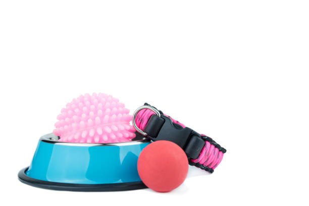 Pet accessories concept.  Pet Stainless bowls with toy on isolated white background.