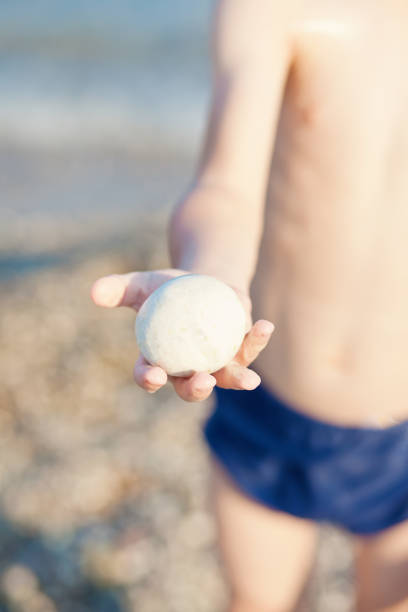istock kid's hand holds white round stone on the beach 1167585232