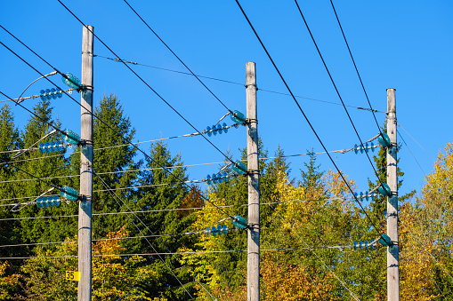 Power line wood poles in an autumn  forest