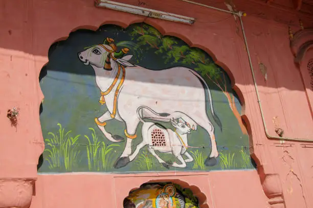 Tourism in India, Jaipur