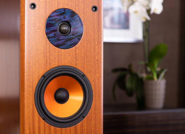 istock Modern Audio Loud Speaker  in the room 1167588713