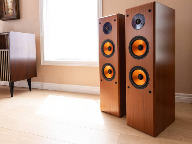 istock Modern Audio Loud Speaker in the room 1167588902