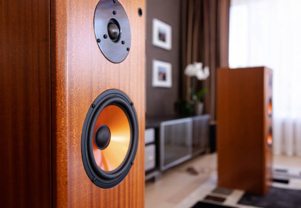 istock Modern Audio Loud Speaker  in the room 1167588908