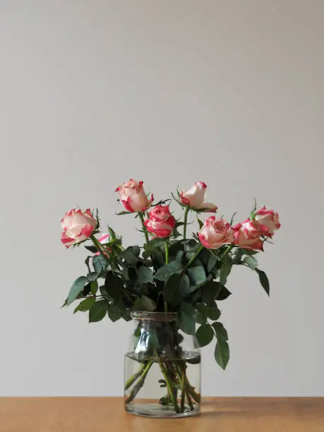 Pink-white roses in a vase against white background on a table