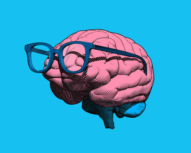 ilustrações, clipart, desenhos animados e ícones de cérebro da gravura com ilustração dos eyeglasses no bg azul - bg
