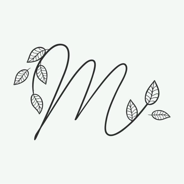116 Letter M Monogram Drawings Stock Photos, Pictures & Royalty-Free Images  - iStock