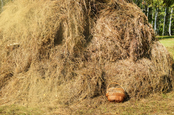 istock Wicker picnic basket on haystack background - authentic rural scene on Sunny summer day 1167592057