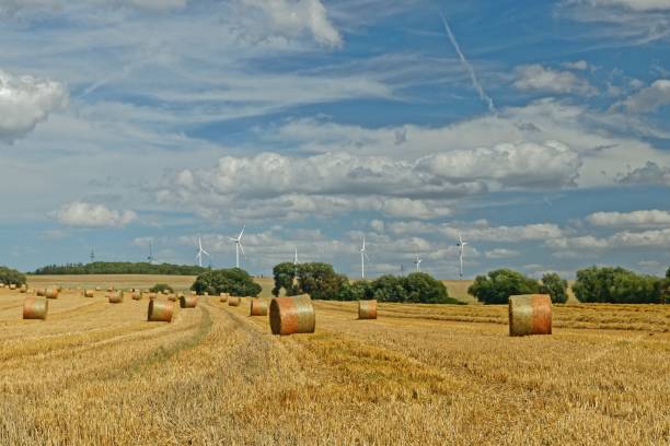istock field after harvest in Thuringia between Gotha and Eisenach with wind turbines in the background 1167592874