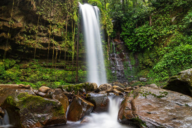 istock Mahua Waterfall in Tambunan Crocker Range National Park 1167594221