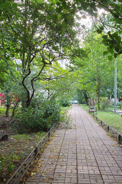 istock tile walkway in the city block 1167594276