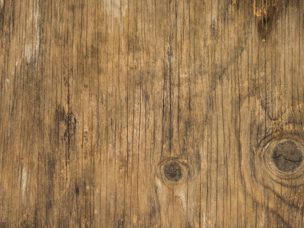istock Texture of bark old wood use as natural background 1167598096