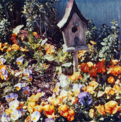 A photo manipulation of a small garden of pansies with a birdhouse.