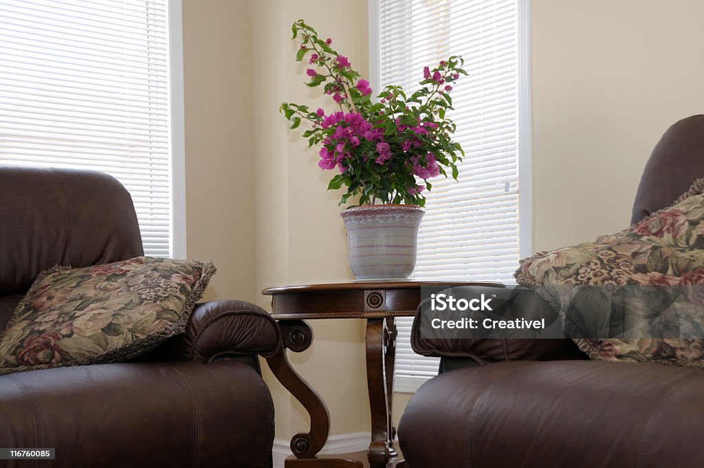 sunny spot, interni camera per famiglie, arredi in pelle, pianta sul tavolo - Foto stock royalty-free di Ambientazione interna