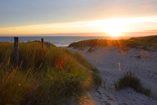 istock Dunes and lighthouse at Julianadorp 1167603073