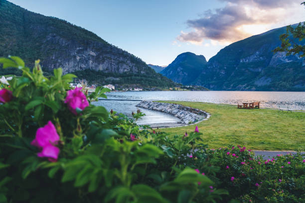küste des fjords in norwegen, aurland fjord und stadt bei sonnenuntergang, schöne skandinavische landschaft, reise nach norwegen - sogn og fjordane county stock-fotos und bilder