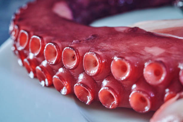 istock Octopus Tentacles with Sea Salt and Fresh Lemon 1167604096