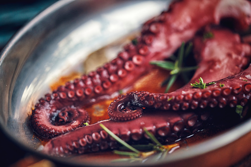 Octopus Tentacles with Sea Salt and Fresh Lemon