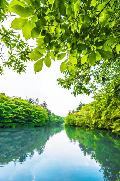 istock 1 Kumobaike (Kumoba pond) in Karuizawa 1167604496