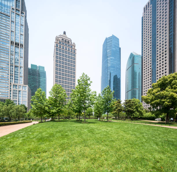 istock Green city park, Shanghai 1167607048