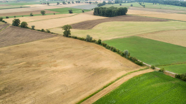 istock Agricultural area - fields, aerial view 1167617333