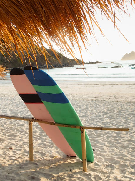 istock surfboards leaning on a fence on the beach 1167620343