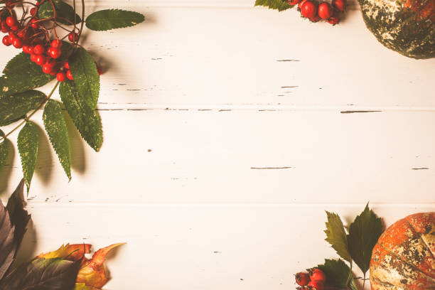 istock Autumn composition. Autumn leaves, berries and pumpkin on white background, copy space. 1167621745