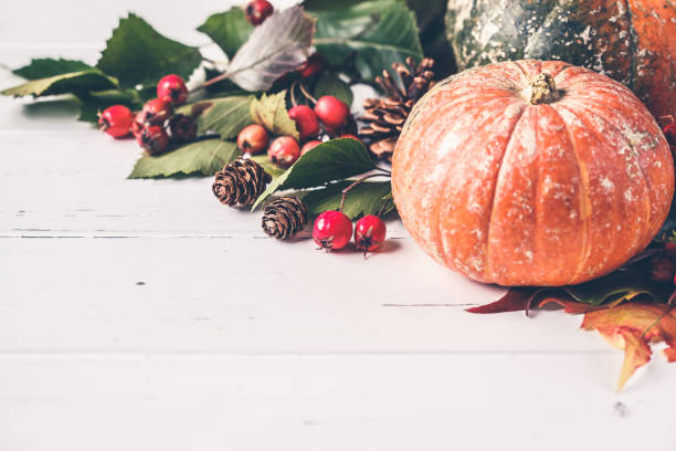 istock Autumn composition. Autumn leaves, berries and pumpkin on white background, copy space. 1167622096