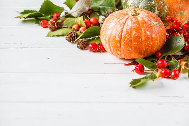 istock Autumn composition. Autumn leaves, berries and pumpkin on white background, copy space. 1167622129