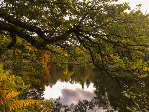 istock Beautiful autumn walks 1167625387