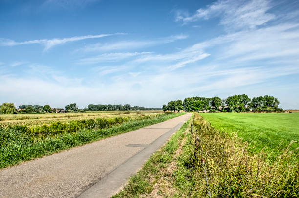 istock Country road on a summer day 1167626129