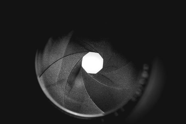 Photo equipment and camera backgrounds.3d illustration.