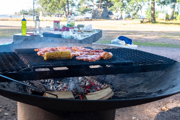 istock Weekend break in the park. Cooking meat grilled pork and chicken. 1167632526