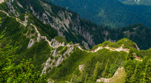 there are too many people on the herzogstand. he is overrun - walchensee lake imagens e fotografias de stock