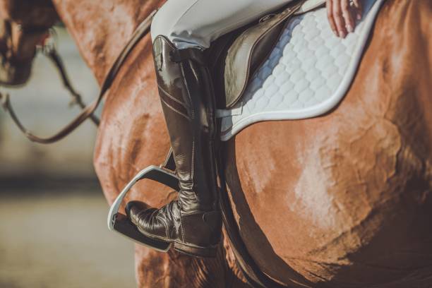 istock Horse Riding Stirrups 1167633988