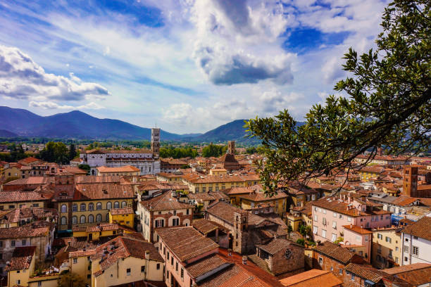 istock aerial Lucca view cityscape from the Guinigi tower with olive tree 1167634031