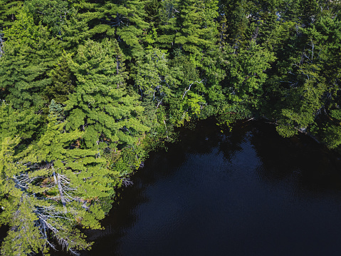 Looking down on a wilderness lake.