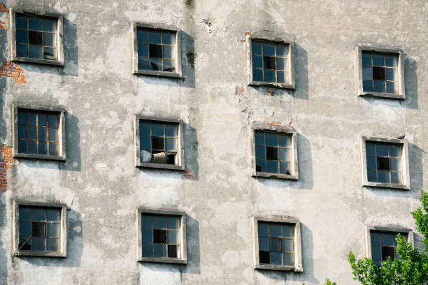 istock Many windows on the facade of the old building. Monotone architecture 1167639685