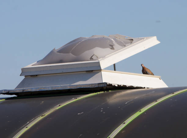 istock A tiny dove almost trapped in a mortgage trap. 1167639742