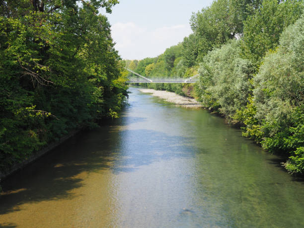 istock River Dora in Parco Dora park in Turin 1167642598