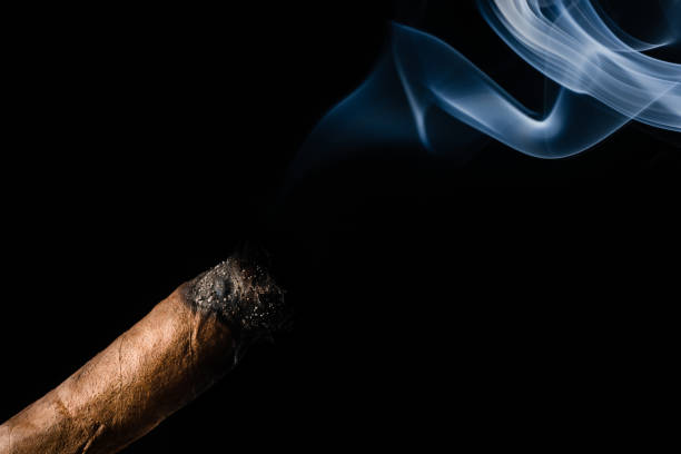 sigaro su sfondo nero - rolling cigarette risk luxury foto e immagini stock