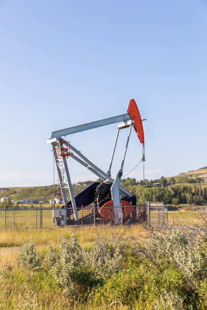 feche acima de um jaque da bomba de petróleo no campo dos fazendeiros. alberta, canadá. - oil pump oil industry industry alberta - fotografias e filmes do acervo